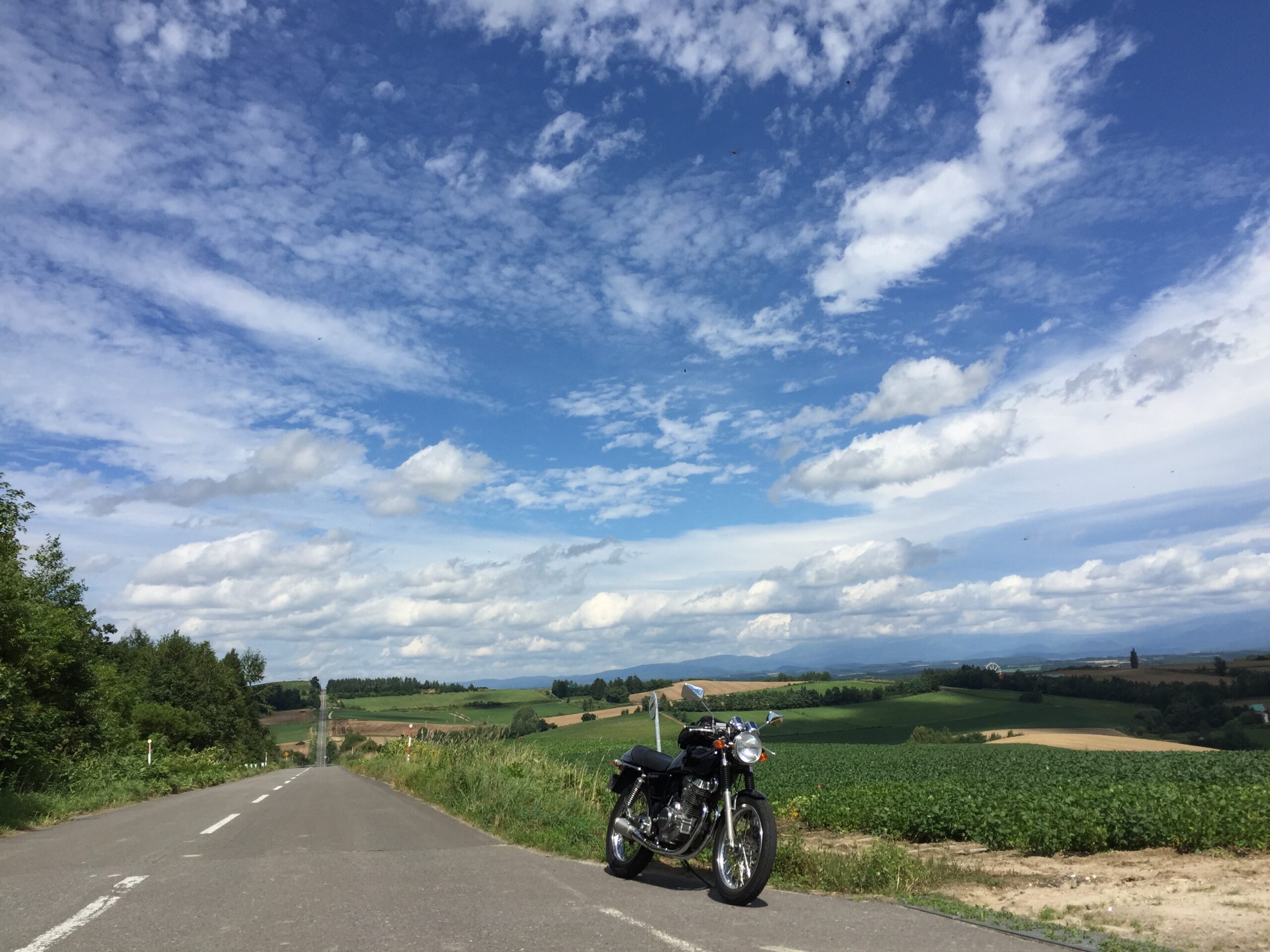 ジェットコースターの道