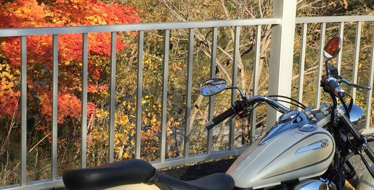 紅葉の中のアメリカンバイク