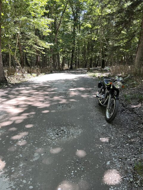 でこぼこ路面